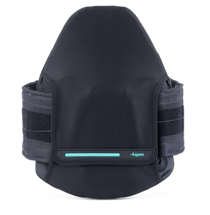 Horizon 631 LSO